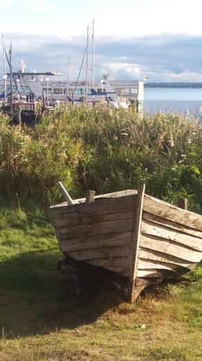 Altes Boot am Salzhaff