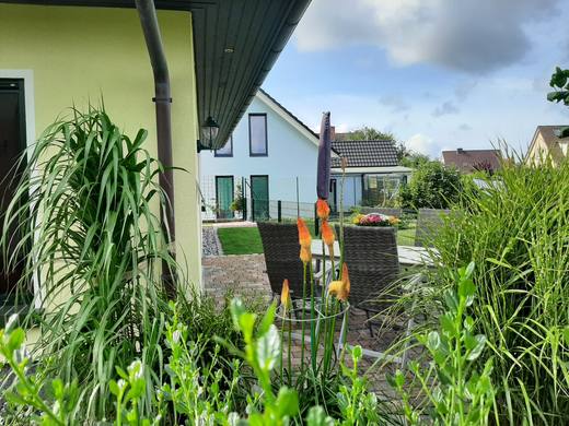 Garten mit Gräsern
