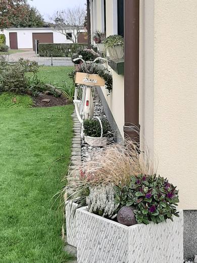 Vorgarten mit Blumenkübeln