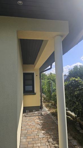 Blick in den Garten