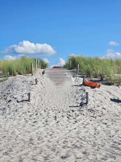 Eindruck aus dem Ostseebad Rerik