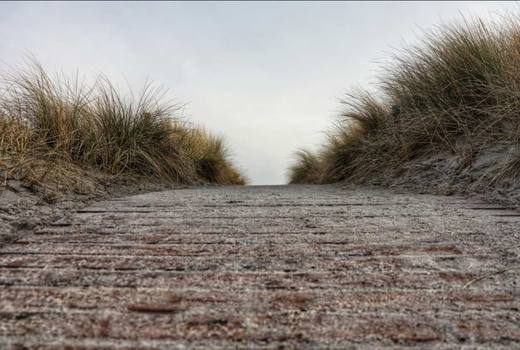 Weg durch die Dünen