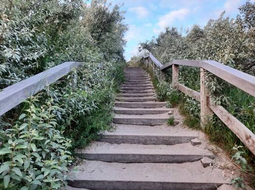 Treppe zum Strand
